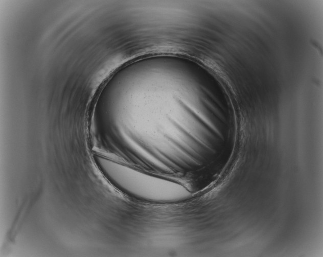 X0000101470989200807211333