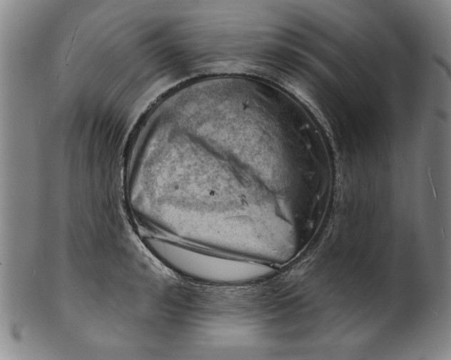 X0000101470992200807211333