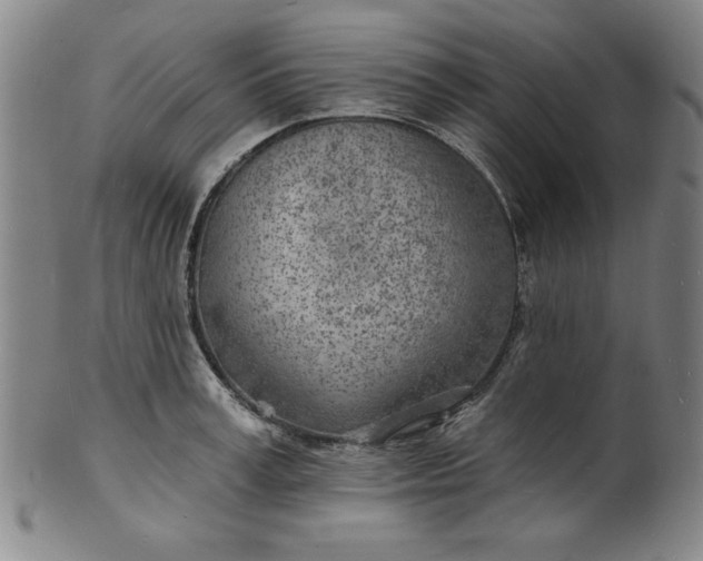 X0000101470995200807211333