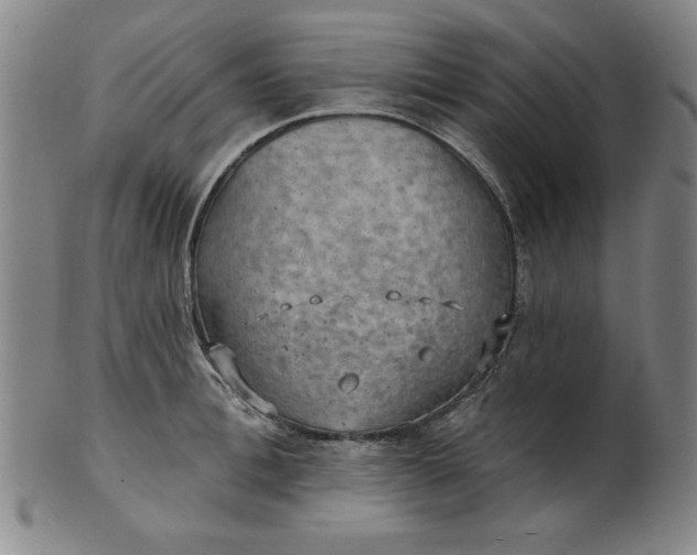 X0000101470996200807211333