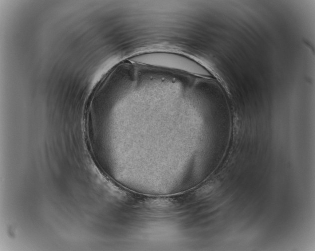 X0000101470998200807211332