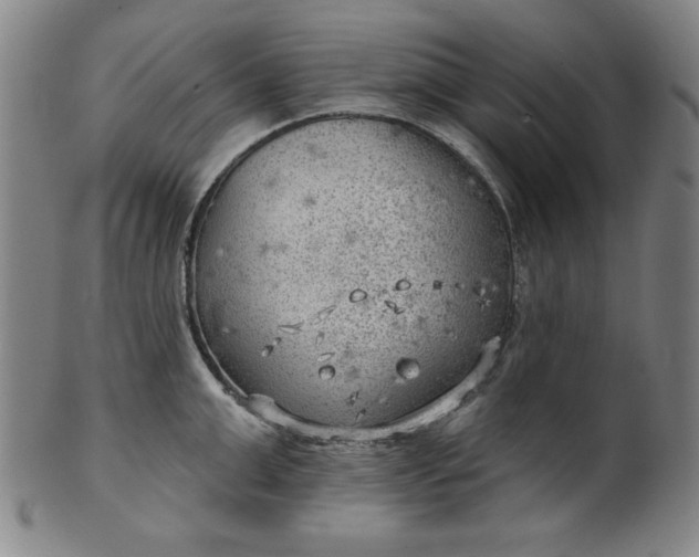 X0000101470999200807211332