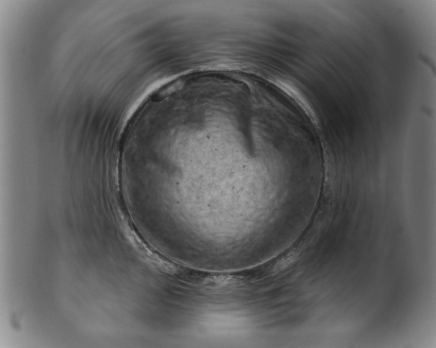 X0000101471000200807211332