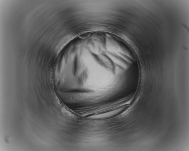 X0000101471001200807211332