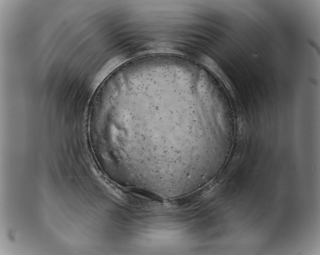 X0000101471002200807211332