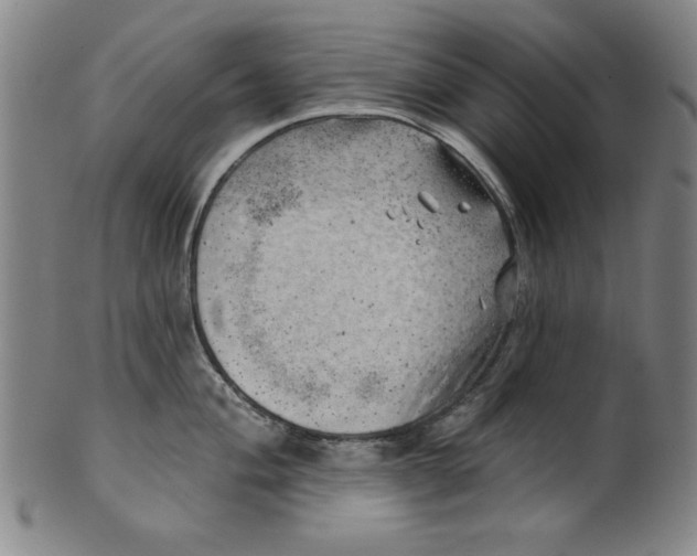 X0000101471004200807211332