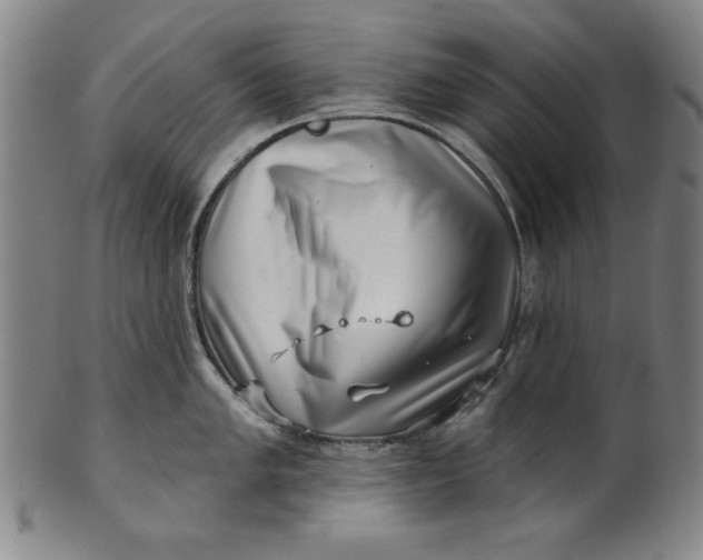 X0000101471005200807211332