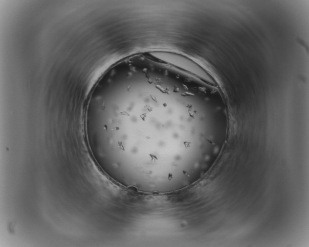 X0000101471006200807211332