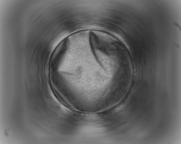 X0000101471007200807211332