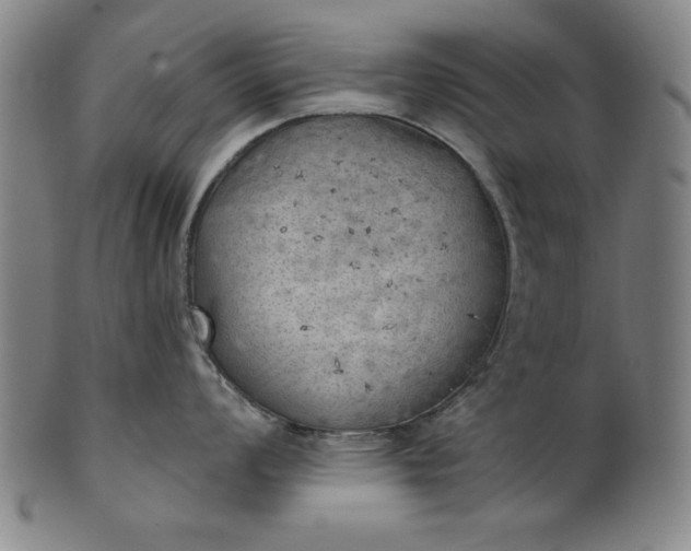 X0000101471008200807211332