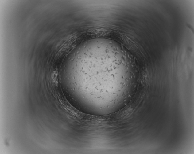 X0000101471010200807211332