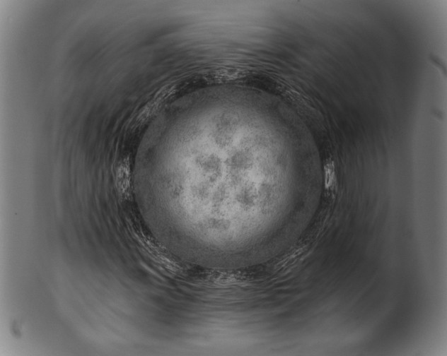 X0000101471011200807211332