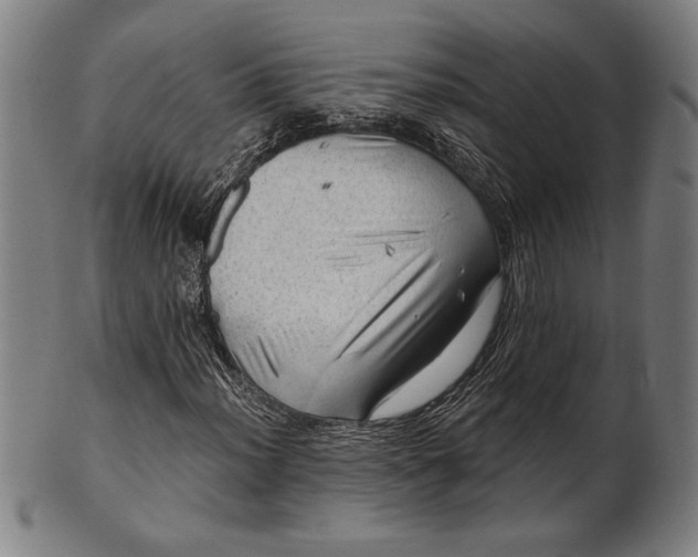 X0000101471012200807211332