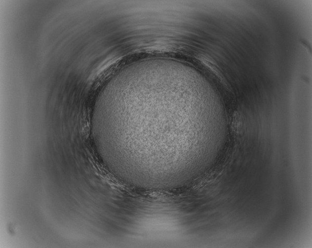 X0000101471015200807211332