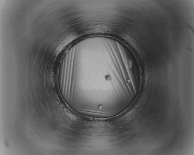 X0000101471018200807211332