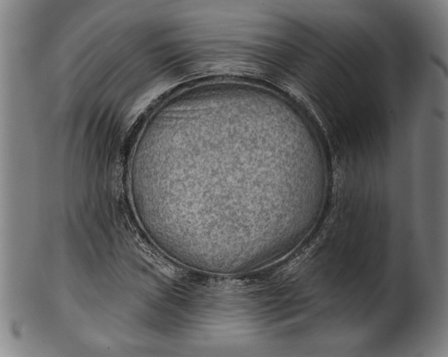 X0000101471019200807211332