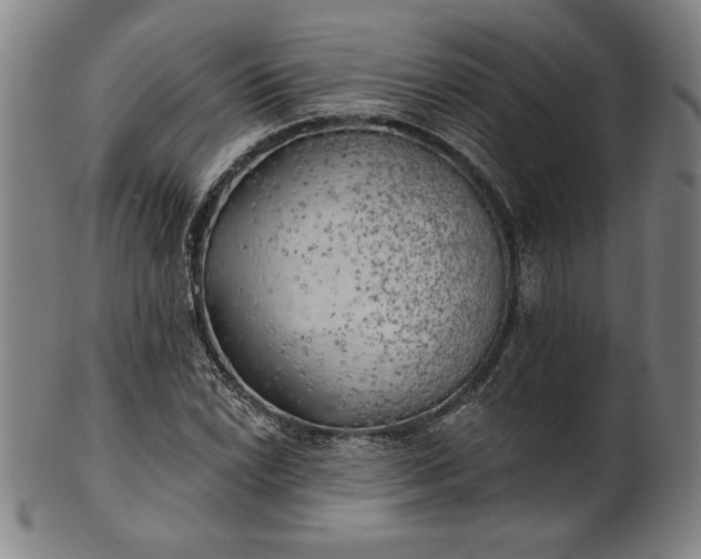 X0000101471022200807211332