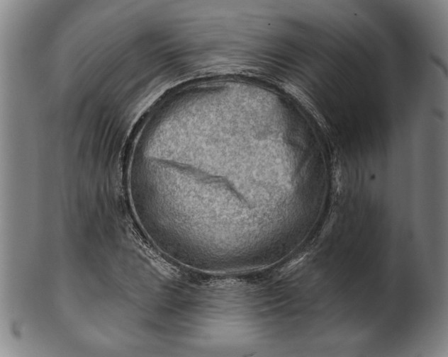 X0000101471023200807211332