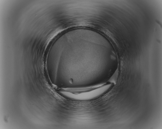 X0000101471024200807211332