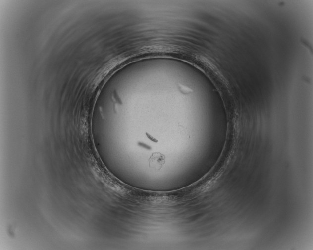 X0000101471025200807211332