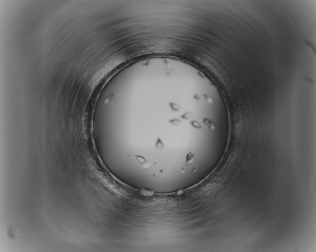 X0000101471026200807211332