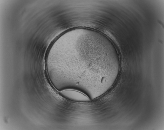 X0000101471028200807211332