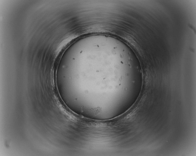 X0000101471030200807211332