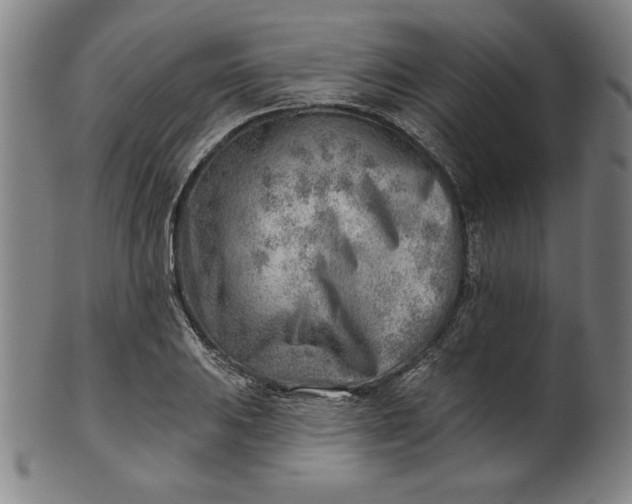 X0000101471031200807211332