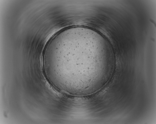 X0000101471032200807211332