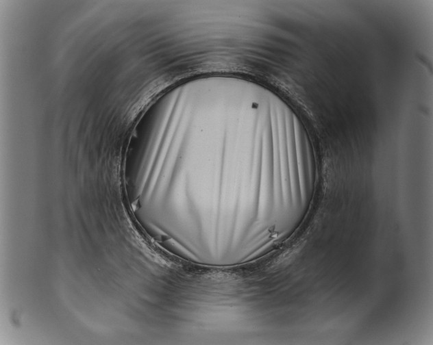 X0000101471033200807211332