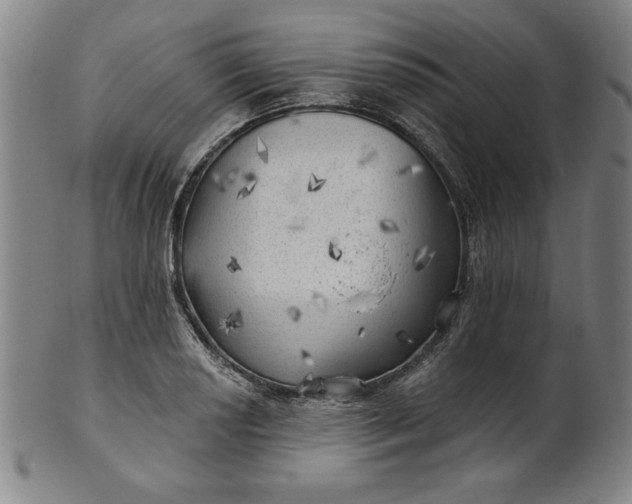 X0000101471034200807211332