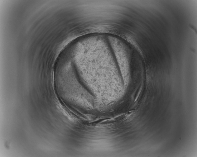 X0000101471035200807211332