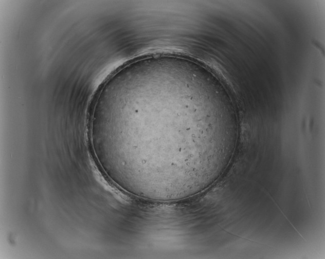 X0000101471038200807211332