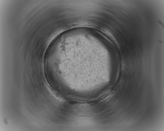 X0000101471043200807211332