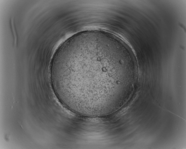 X0000101471045200807211332