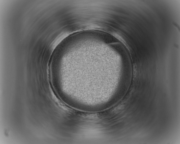 X0000101471047200807211332