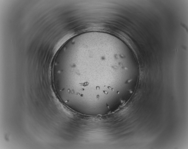 X0000101471050200807211332