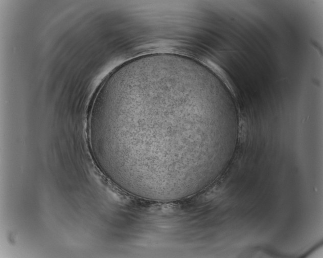 X0000101471051200807211332