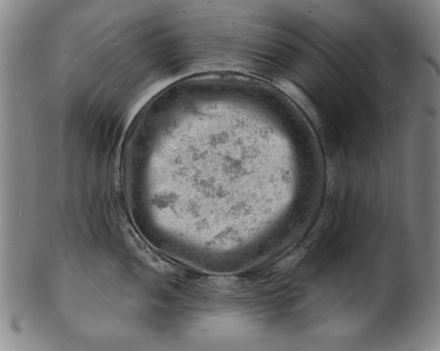 X0000101471052200807211332