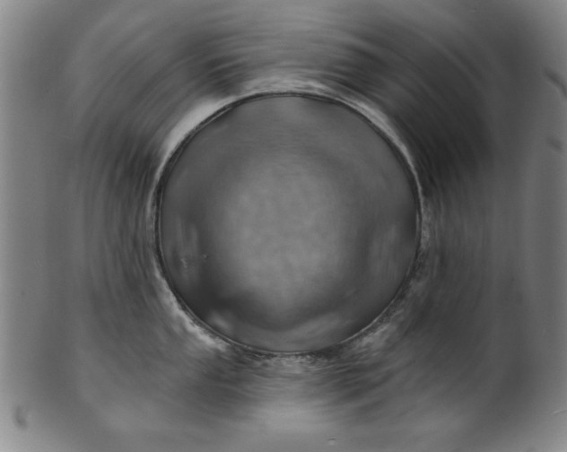 X0000101471053200807211332