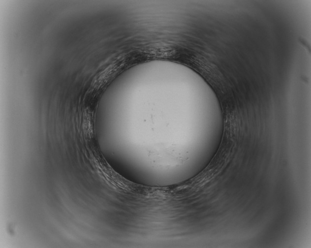 X0000101471058200807211332