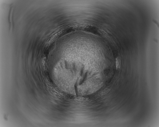 X0000101471059200807211332