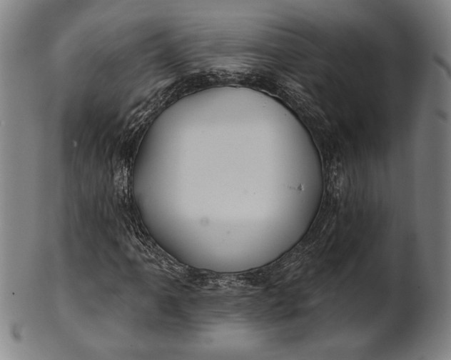 X0000101471061200807211332