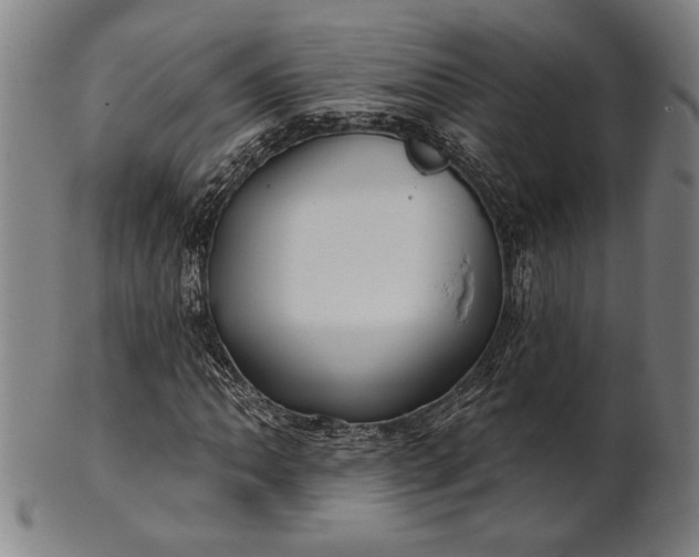 X0000101471062200807211332