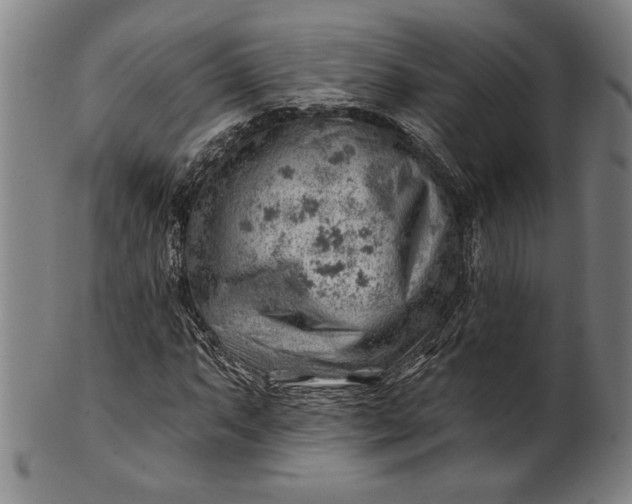 X0000101471063200807211332