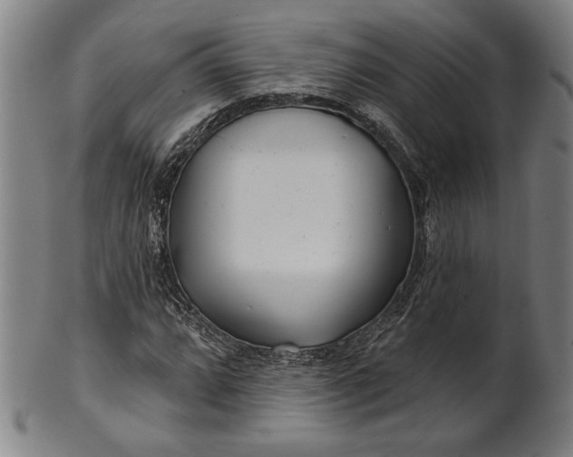 X0000101471064200807211332