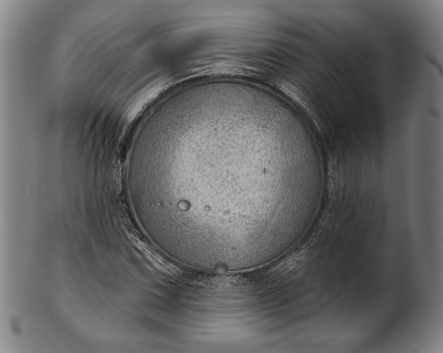 X0000101471067200807211332