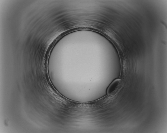 X0000101471068200807211331