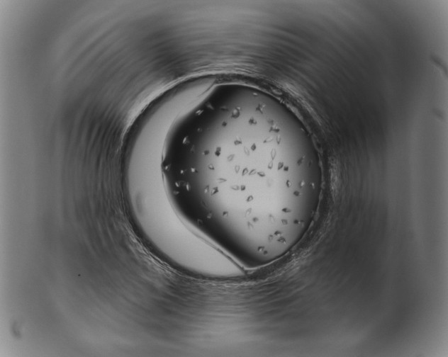 X0000101471069200807211331