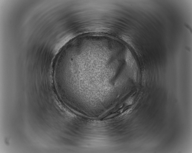 X0000101471071200807211331